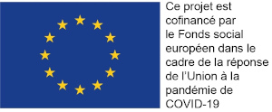 Drapeau européen FSE